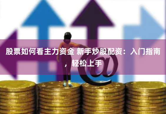 股票如何看主力资金 新手炒股配资：入门指南，轻松上手